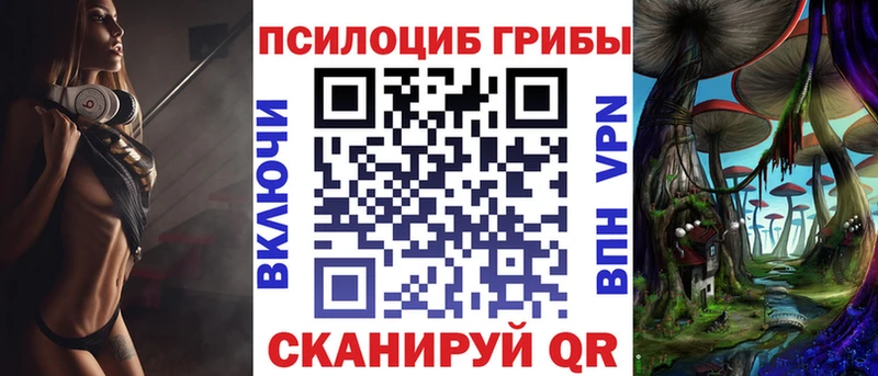 Галлюциногенные грибы Psilocybe  Нижнекамск 