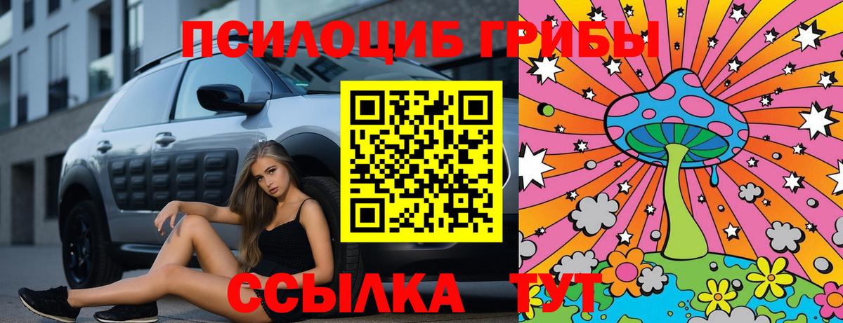 Галлюциногенные грибы Magic Shrooms Нижнекамск